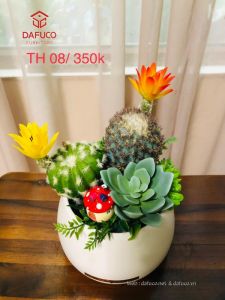 Hoa xương rồng